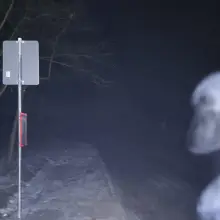 Zobacz zdjęcie: Sytuacja na przystanku