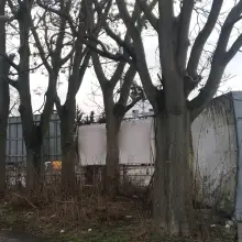 Zobacz zdjęcie: Sytuacja przy wjeździe do Bolesławca