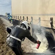 Zobacz zdjęcie: Akcja służb w Jeleniej Górze