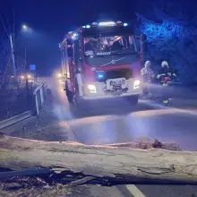 Zobacz zdjęcie: Akcja strażaków w Gromadce