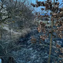 Zobacz zdjęcie: Poniedziałkowe interwencje OSP Warta Bolesławiecka