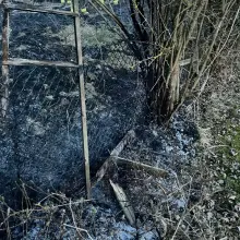 Zobacz zdjęcie: Poniedziałkowe interwencje OSP Warta Bolesławiecka