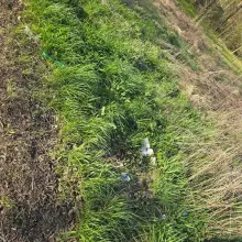 View photo: The path between Bolesławiec and Łąka
