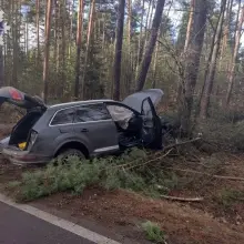 Переглянути фотографію: Смертельна аварія під Polkowice