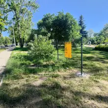 View photo: Park Near the Stadium in Bolesławiec