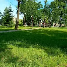 Zobacz zdjęcie: Lampiony w parku