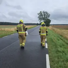 Zobacz zdjęcie: Akcja służb w powiecie bolesławieckim