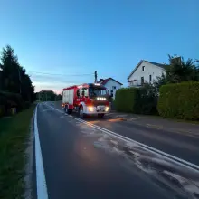 Переглянути фотографію: Дії пожежників із Warta Bolesławiecka
