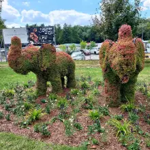 View photo: Elephants in the square in Bolesławiec