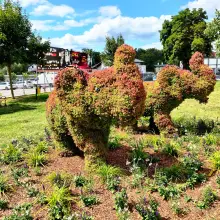 View photo: Elephants in the square in Bolesławiec