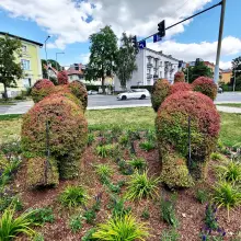 View photo: Elephants in the square in Bolesławiec