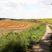 Zobacz zdjęcie: Zapomniany wiadukt. Imprezy, śmieci i graffiti. Czy ktoś w końcu zagospodaruje tę przeprawę?