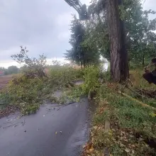 Zobacz zdjęcie: Interwencje związane z burzą