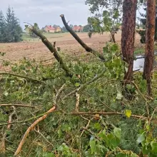Zobacz zdjęcie: Interwencje związane z burzą