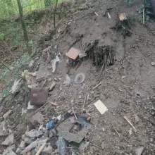 Zobacz zdjęcie: Śmieci na terenach leśnych w Żeliszowie