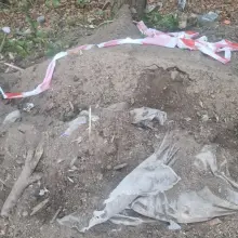Zobacz zdjęcie: Śmieci na terenach leśnych w Żeliszowie